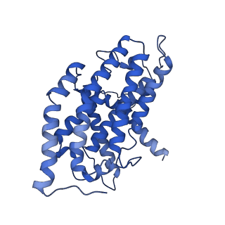 16516_8ca3_H_v1-3
Cryo-EM structure NDUFS4 knockout complex I from Mus musculus heart (Class 2).