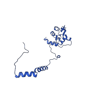 16516_8ca3_I_v1-3
Cryo-EM structure NDUFS4 knockout complex I from Mus musculus heart (Class 2).