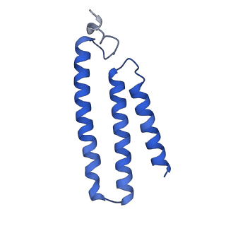 16516_8ca3_K_v1-3
Cryo-EM structure NDUFS4 knockout complex I from Mus musculus heart (Class 2).