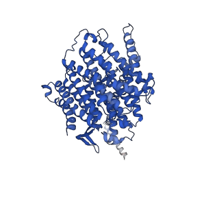 16516_8ca3_L_v1-3
Cryo-EM structure NDUFS4 knockout complex I from Mus musculus heart (Class 2).