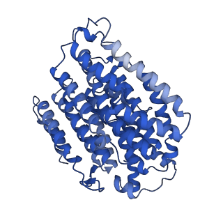 16516_8ca3_M_v1-3
Cryo-EM structure NDUFS4 knockout complex I from Mus musculus heart (Class 2).