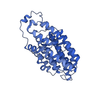 16516_8ca3_N_v1-3
Cryo-EM structure NDUFS4 knockout complex I from Mus musculus heart (Class 2).