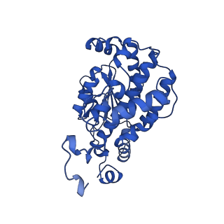 16516_8ca3_O_v1-3
Cryo-EM structure NDUFS4 knockout complex I from Mus musculus heart (Class 2).