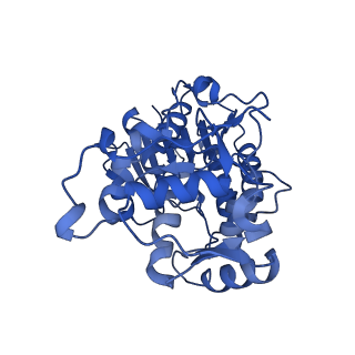 16516_8ca3_P_v1-3
Cryo-EM structure NDUFS4 knockout complex I from Mus musculus heart (Class 2).