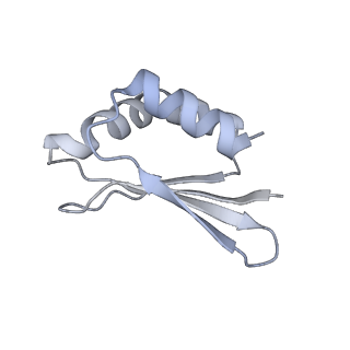 16516_8ca3_S_v1-3
Cryo-EM structure NDUFS4 knockout complex I from Mus musculus heart (Class 2).