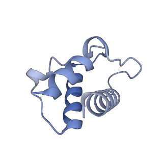 16516_8ca3_T_v1-3
Cryo-EM structure NDUFS4 knockout complex I from Mus musculus heart (Class 2).