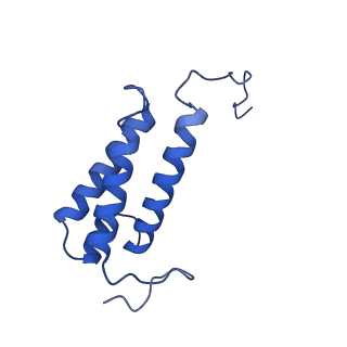 16516_8ca3_V_v1-3
Cryo-EM structure NDUFS4 knockout complex I from Mus musculus heart (Class 2).