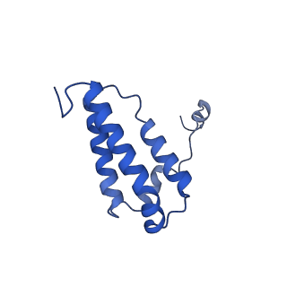 16516_8ca3_W_v1-3
Cryo-EM structure NDUFS4 knockout complex I from Mus musculus heart (Class 2).