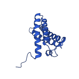 16516_8ca3_Y_v1-3
Cryo-EM structure NDUFS4 knockout complex I from Mus musculus heart (Class 2).