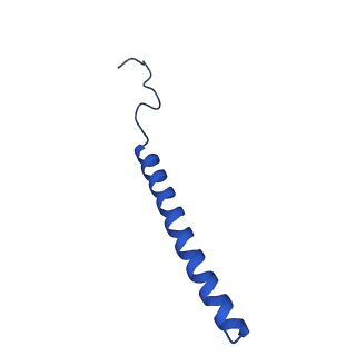 16516_8ca3_c_v1-3
Cryo-EM structure NDUFS4 knockout complex I from Mus musculus heart (Class 2).