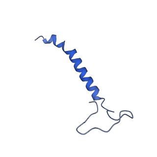16516_8ca3_f_v1-3
Cryo-EM structure NDUFS4 knockout complex I from Mus musculus heart (Class 2).