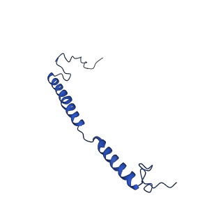 16516_8ca3_g_v1-3
Cryo-EM structure NDUFS4 knockout complex I from Mus musculus heart (Class 2).
