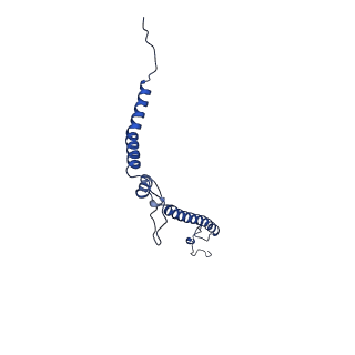 16516_8ca3_h_v1-3
Cryo-EM structure NDUFS4 knockout complex I from Mus musculus heart (Class 2).