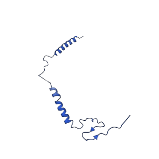 16516_8ca3_i_v1-3
Cryo-EM structure NDUFS4 knockout complex I from Mus musculus heart (Class 2).