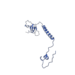 16516_8ca3_l_v1-3
Cryo-EM structure NDUFS4 knockout complex I from Mus musculus heart (Class 2).