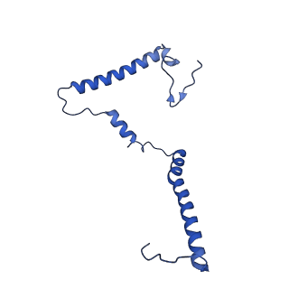 16516_8ca3_m_v1-3
Cryo-EM structure NDUFS4 knockout complex I from Mus musculus heart (Class 2).