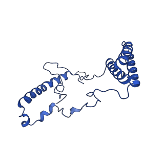 16516_8ca3_n_v1-3
Cryo-EM structure NDUFS4 knockout complex I from Mus musculus heart (Class 2).