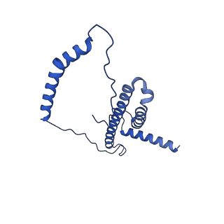 16516_8ca3_p_v1-3
Cryo-EM structure NDUFS4 knockout complex I from Mus musculus heart (Class 2).