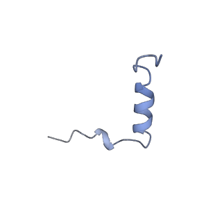 16516_8ca3_s_v1-3
Cryo-EM structure NDUFS4 knockout complex I from Mus musculus heart (Class 2).