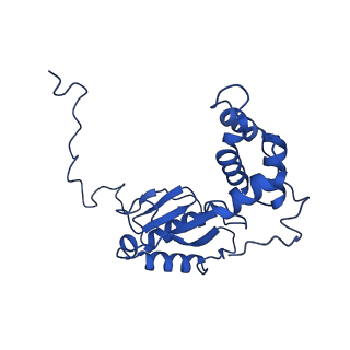 16517_8ca4_E_v1-2
Cryo-EM structure NDUFS4 knockout complex I from Mus musculus heart (Class 2 N-domain).