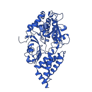 16517_8ca4_F_v1-2
Cryo-EM structure NDUFS4 knockout complex I from Mus musculus heart (Class 2 N-domain).