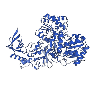 16517_8ca4_G_v1-2
Cryo-EM structure NDUFS4 knockout complex I from Mus musculus heart (Class 2 N-domain).