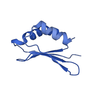 16517_8ca4_S_v1-2
Cryo-EM structure NDUFS4 knockout complex I from Mus musculus heart (Class 2 N-domain).