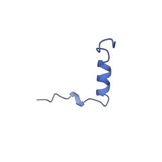 16517_8ca4_s_v1-2
Cryo-EM structure NDUFS4 knockout complex I from Mus musculus heart (Class 2 N-domain).
