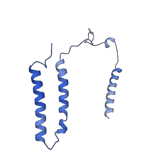 16518_8ca5_A_v1-2
Cryo-EM structure NDUFS4 knockout complex I from Mus musculus heart (Class 3).