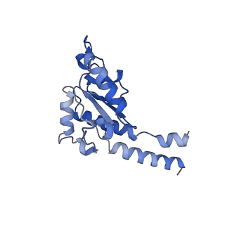 16518_8ca5_B_v1-2
Cryo-EM structure NDUFS4 knockout complex I from Mus musculus heart (Class 3).