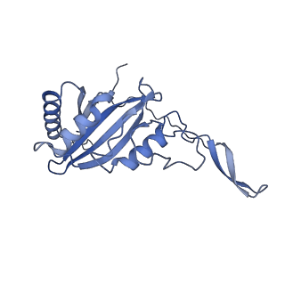 16518_8ca5_C_v1-2
Cryo-EM structure NDUFS4 knockout complex I from Mus musculus heart (Class 3).