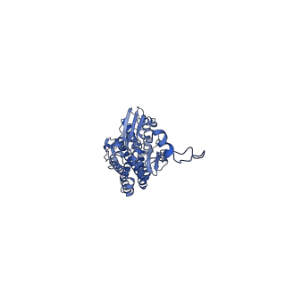 16518_8ca5_D_v1-2
Cryo-EM structure NDUFS4 knockout complex I from Mus musculus heart (Class 3).