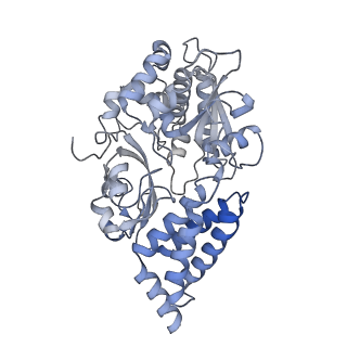 16518_8ca5_F_v1-2
Cryo-EM structure NDUFS4 knockout complex I from Mus musculus heart (Class 3).