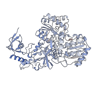 16518_8ca5_G_v1-2
Cryo-EM structure NDUFS4 knockout complex I from Mus musculus heart (Class 3).