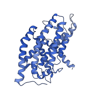16518_8ca5_H_v1-2
Cryo-EM structure NDUFS4 knockout complex I from Mus musculus heart (Class 3).