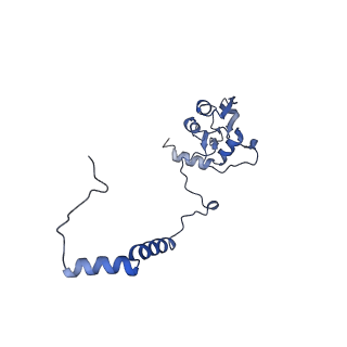 16518_8ca5_I_v1-2
Cryo-EM structure NDUFS4 knockout complex I from Mus musculus heart (Class 3).