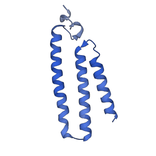 16518_8ca5_K_v1-2
Cryo-EM structure NDUFS4 knockout complex I from Mus musculus heart (Class 3).