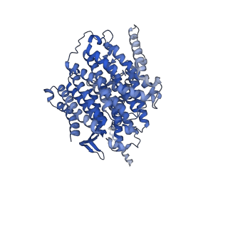 16518_8ca5_L_v1-2
Cryo-EM structure NDUFS4 knockout complex I from Mus musculus heart (Class 3).