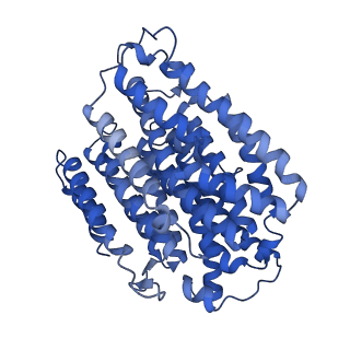 16518_8ca5_M_v1-2
Cryo-EM structure NDUFS4 knockout complex I from Mus musculus heart (Class 3).