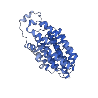 16518_8ca5_N_v1-2
Cryo-EM structure NDUFS4 knockout complex I from Mus musculus heart (Class 3).