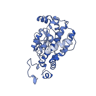 16518_8ca5_O_v1-2
Cryo-EM structure NDUFS4 knockout complex I from Mus musculus heart (Class 3).