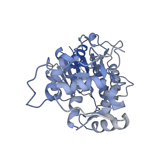 16518_8ca5_P_v1-2
Cryo-EM structure NDUFS4 knockout complex I from Mus musculus heart (Class 3).