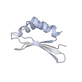 16518_8ca5_S_v1-2
Cryo-EM structure NDUFS4 knockout complex I from Mus musculus heart (Class 3).