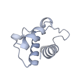 16518_8ca5_T_v1-2
Cryo-EM structure NDUFS4 knockout complex I from Mus musculus heart (Class 3).