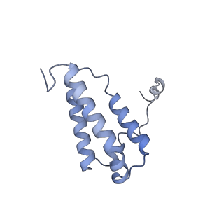 16518_8ca5_W_v1-2
Cryo-EM structure NDUFS4 knockout complex I from Mus musculus heart (Class 3).