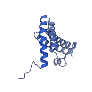 16518_8ca5_Y_v1-2
Cryo-EM structure NDUFS4 knockout complex I from Mus musculus heart (Class 3).