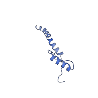 16518_8ca5_a_v1-2
Cryo-EM structure NDUFS4 knockout complex I from Mus musculus heart (Class 3).