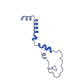 16518_8ca5_b_v1-2
Cryo-EM structure NDUFS4 knockout complex I from Mus musculus heart (Class 3).
