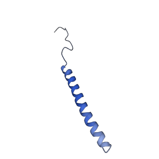 16518_8ca5_c_v1-2
Cryo-EM structure NDUFS4 knockout complex I from Mus musculus heart (Class 3).