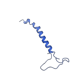 16518_8ca5_f_v1-2
Cryo-EM structure NDUFS4 knockout complex I from Mus musculus heart (Class 3).